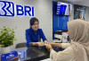 KUR BRI 2026 Plafon Rp150 Juta: Simak Besaran Cicilan dan Rahasia Agar Pengajuan Cepat Disetujui