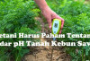 Petani Mesti Paham pH Tanah Kebun Sawit, Ini Keuntungannya