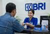 KUR Pakai BPKB Motor, Apakah Bisa? Ini Fungsi dan Ketentuan yang Perlu Dipahami