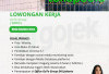 Peluang Karier, Lowongan Kerja GoTo Indonesia Kini Buka Banyak Posisi, Tertarik Lamar di Sini 