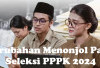 Ini Perubahan Menonjol Pada Seleksi PPPK 2024, Beda dengan Tahun Sebelumnya!