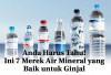 Anda Harus Tahu! Ini 7 Merek Air Mineral yang Baik untuk Ginjal
