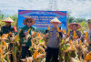 Polri Apresiasi Petani Jagung Kaur 