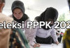 Ingin Ikut Seleksi PPPK 2024, Simak dan Pahami Syarat Pendaftaran Terbarunya di Sini