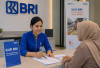 Banyak Ditolak? Ini Kesalahan yang Bikin Pengajuan KUR BRI Gagal dan Cara Menghindarinya