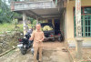 Cegah Musibah Kebakaran, Wabup Kaur   Minta Desa Lakukan Tindakan Ini!