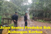 Jalan Sentra Produksi Bak Kubangan Kerbau, Hasil Pertanian Sulit Dikeluarkan, Petani Menjerit