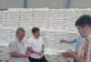 24.042 Keluarga di Bengkulu Selatan Mulai Terima Bantuan Beras, Totalnya Bikin Geleng Kepala!