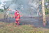 Kecamatan Kaur Selatan Terbanyak Lahan   Terbakar, Masyarakat Diminta Waspada