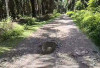 Warga Sukananti 23 Tahun Lewati Jalan Rusak, Simak di Sini Pengaduan Kades Ngadu ke DPRD!