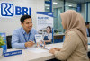 Tak Hanya Mempermudah KUR BRI, BI Checking yang Bersih Buka Banyak Peluang Finansial